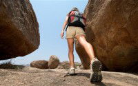 travellers_2677767b