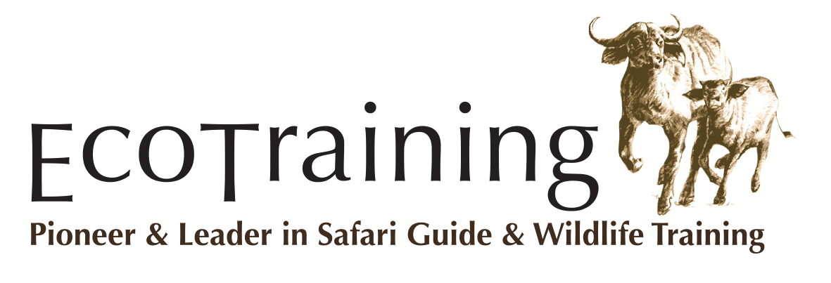 Ecotraining logo PNG