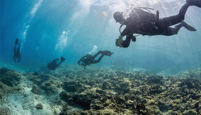 Impactrip launches Alonissos Dive Escapes: A strategic opportunity in sustainable tourism
