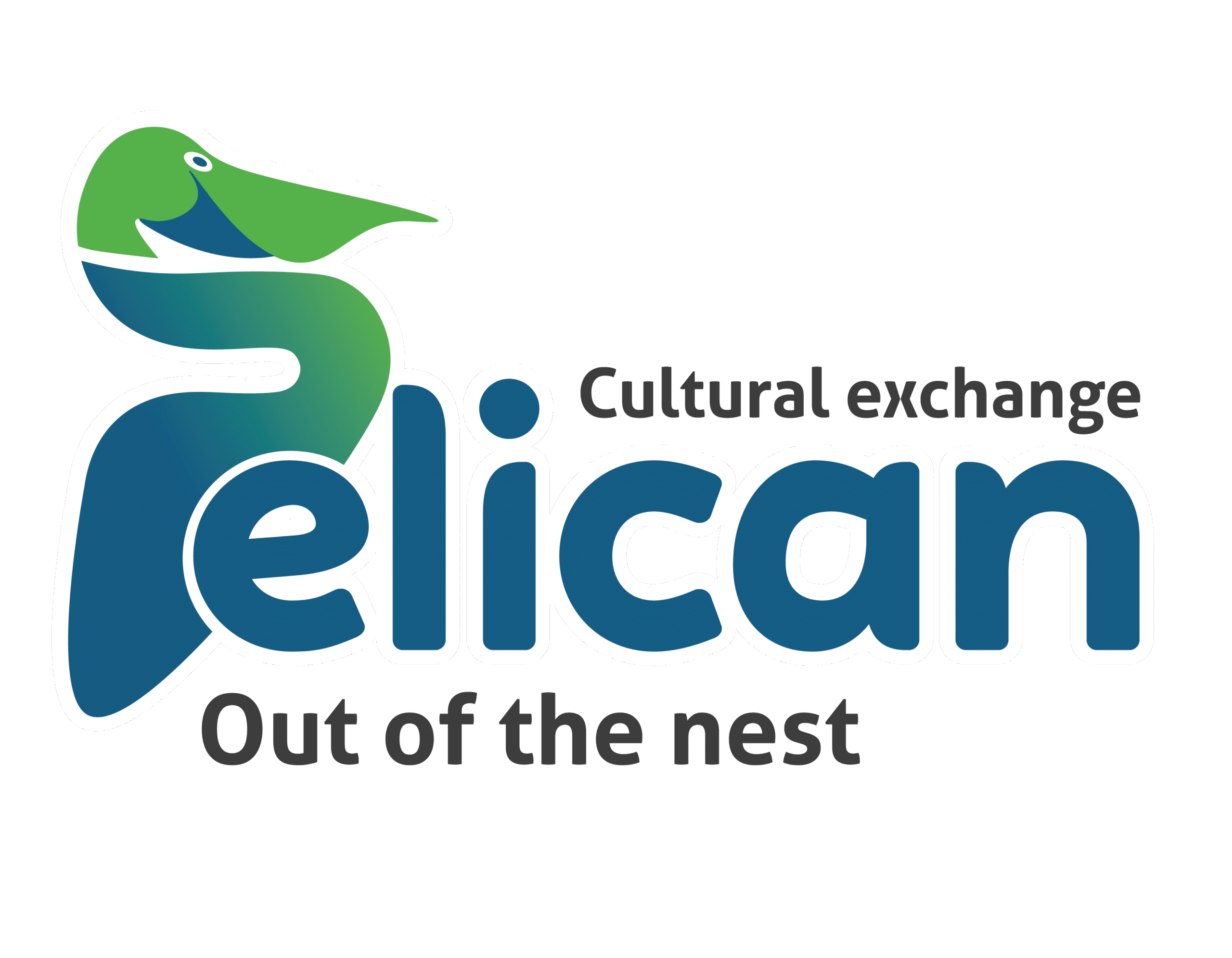 Alliance for International Exchange | WYSE Member @2025
