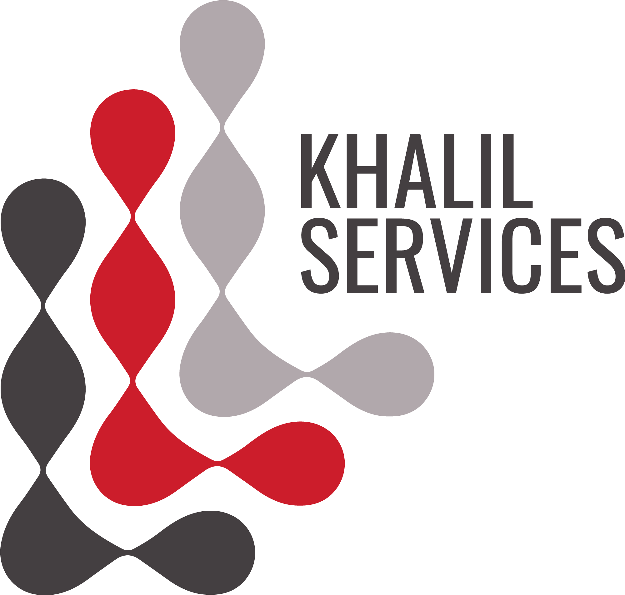 Khali Study in Portugal Network