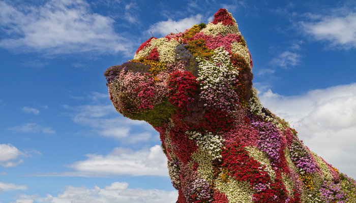 The famous flower-covered Puppy sculpture  - facts about Bilbao